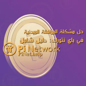 حل مشكلة الموافقة المبدئية في باي نتورك: دليل شامل