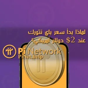 لماذا بدأ سعر باي نتورك عند 2 دولار أمريكي؟
