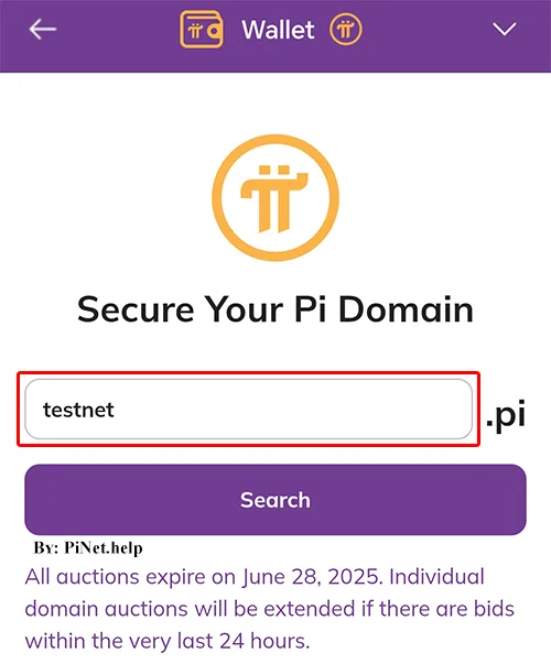 How to Purchase and Use a Pi Domain in Pi Network
